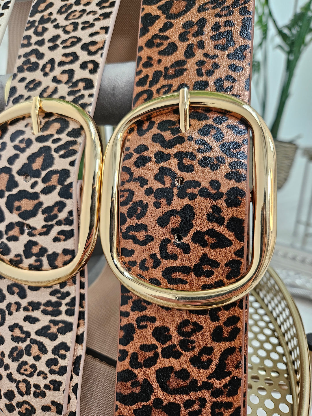 Stretchy Leopard Print Belt - ( Choose your colour )